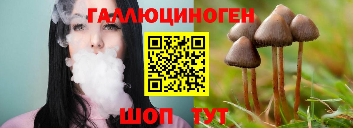 Псилоцибиновые грибы мицелий Гудермес